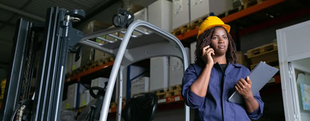 Audit of Stocks in Warehouses