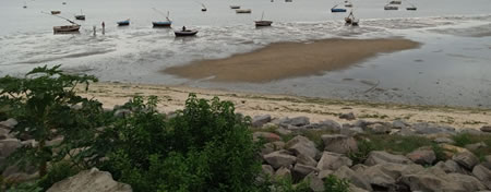 Environment, Resilience, Water and Sanitation